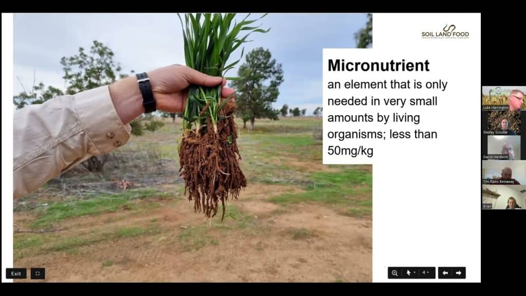 A person holds a small clump of green plants with exposed roots in an outdoor field. To the right, a presentation slide reads, "Micronutrient: an element that is only needed in very small amounts by living organisms; less than 50mg/kg." Several video call participants are visible.