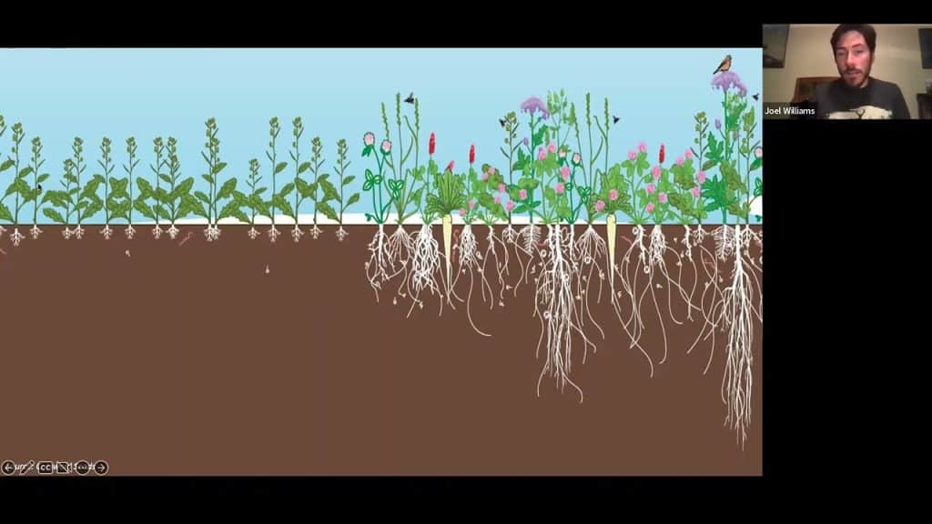 A man speaks in a video featuring an illustration of various plants. The illustration shows the plants both above and below ground, highlighting a variety of root systems. Some plants have deep, extensive roots, while others have shorter, more compact roots.