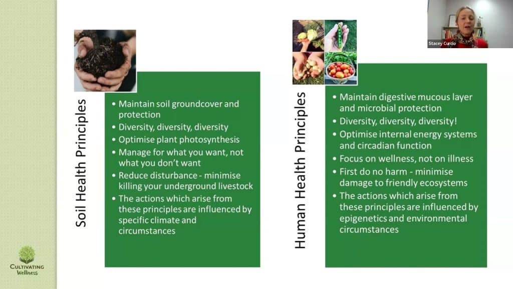 A presentation slide comparing Soil Health Principles and Human Health Principles. Soil Health Principles include diversity, optimizing photosynthesis, and minimizing disturbance. Human Health Principles include diversity, optimizing systems, and minimizing harm.